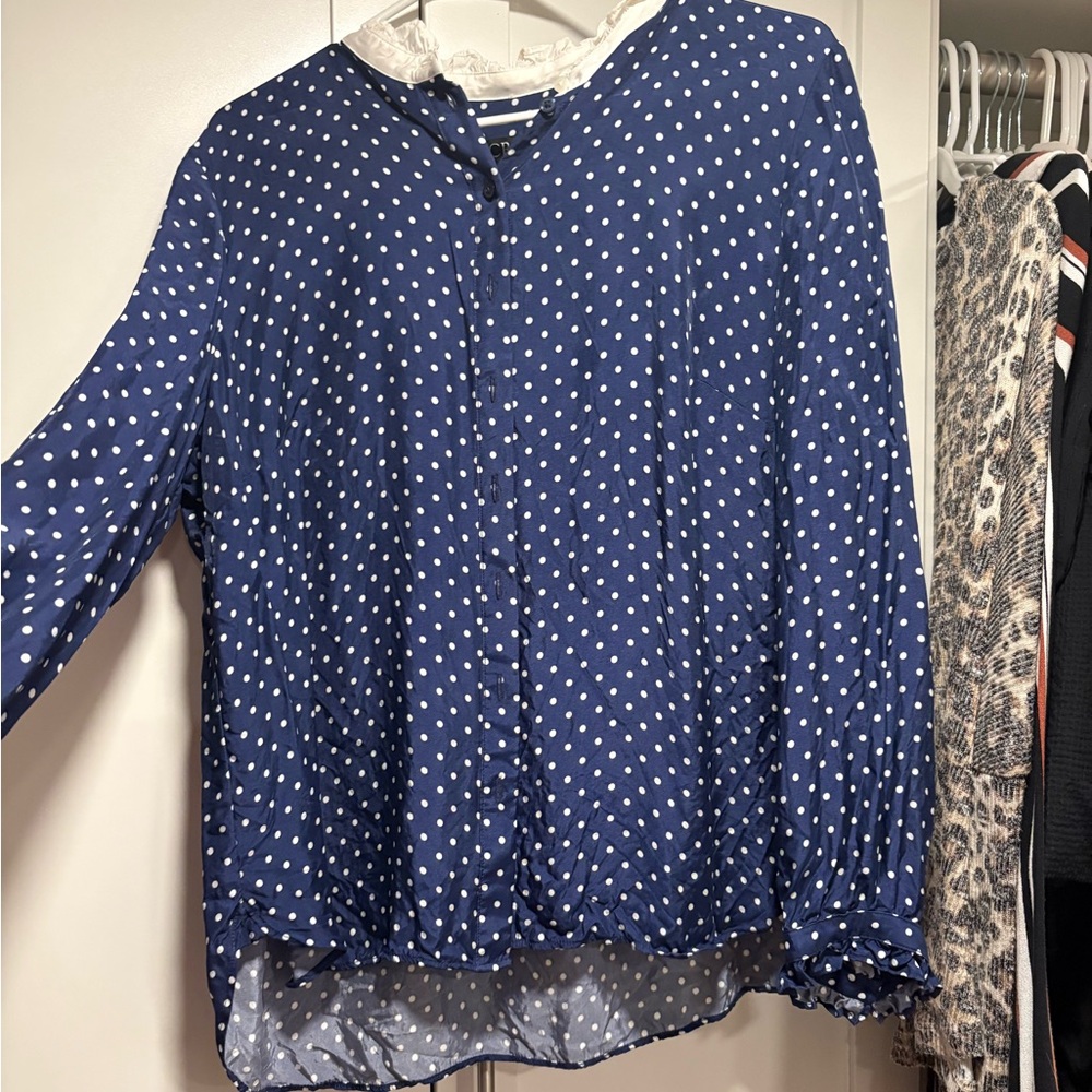J. Crew Blue and White Polka Dot Top